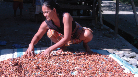 An Introduction to Cocoa