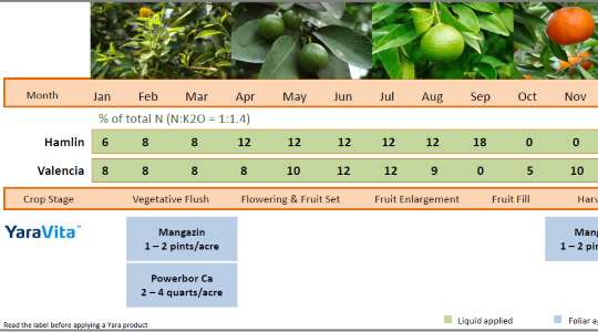 Citrus Fertilizer Program - Liquid