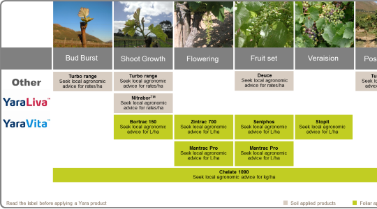 Wine Grape Fertilizer Program