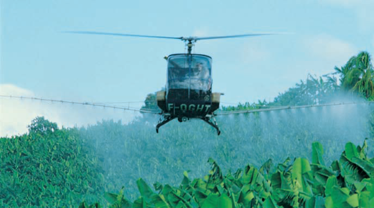 Banana Crop Protection