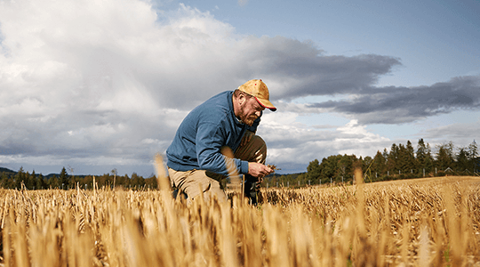 More efficient farming with nitrate-based solutions