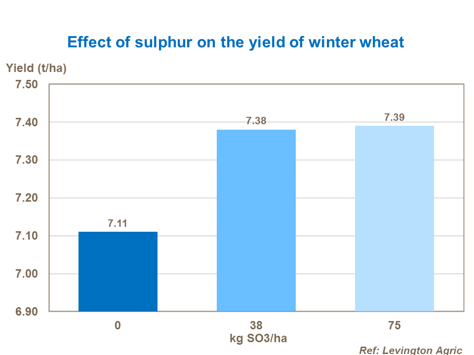 Effect of sulphur on the yield of winter wheat