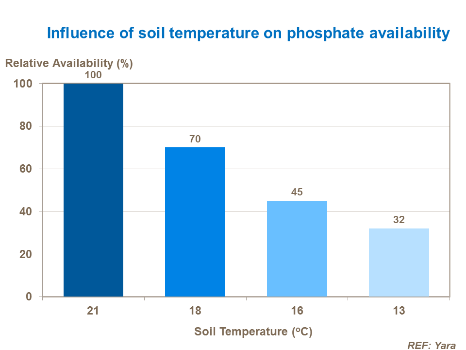 Influence of soil temperature on phosphate availability