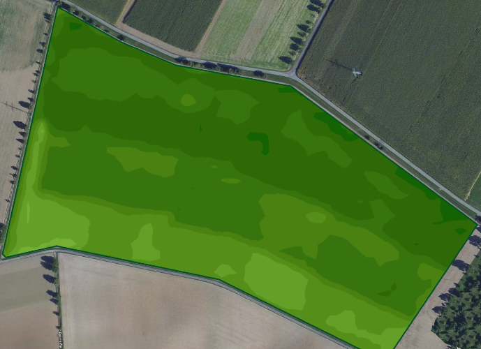 3 different seeding dates of a winter wheat field