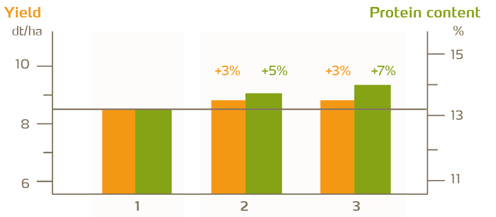 Comparison of yield and protein content for different fertilization strategies: 1) mean nitrogen intensity, no sulfur; 2) high nitrogen density (+30kg N), sulfur application at the first dressing (+15kg 5); 3) high nitrogen intensity (+30kg N), sulfur application at the first (+15kg S). Optimum nutrition enables 7% increase in protein content (8).