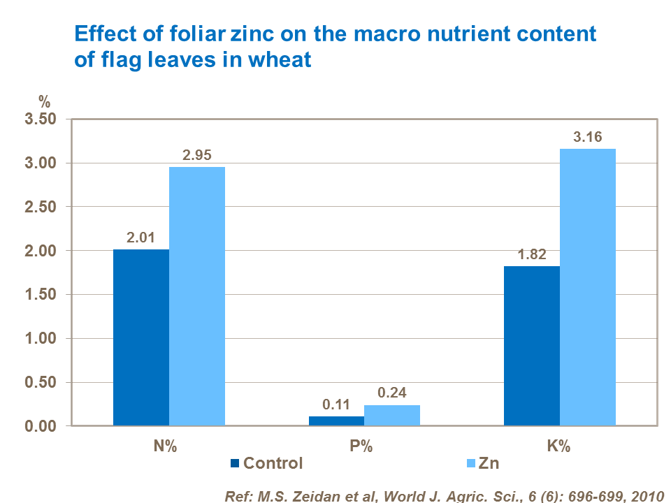Effect of foliar zinc applications on the micro nutrient content of flag leaves in wheat