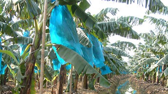 Irrigation channels in Asia