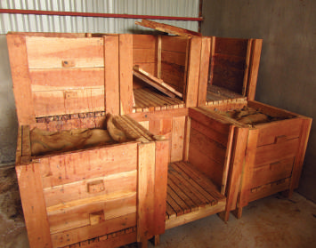 Fermenting beans in boxes