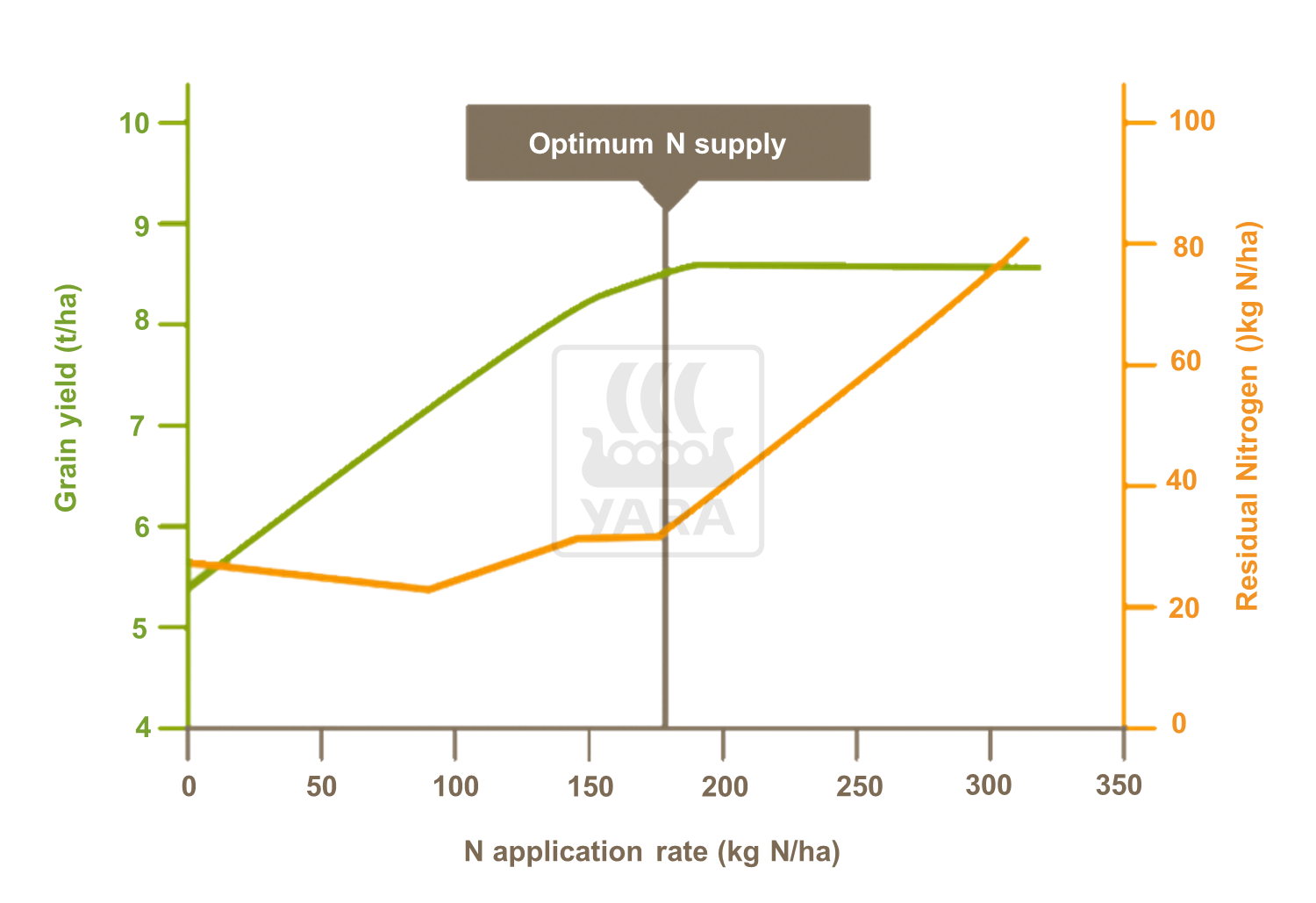 The residual nitrogen in the soil after harvesting, and thus the risk of leaching, is not increasing for application rates below optimum N supply.