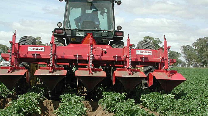 Side dressing fertilizer can be incorporated during the remaking of ridges