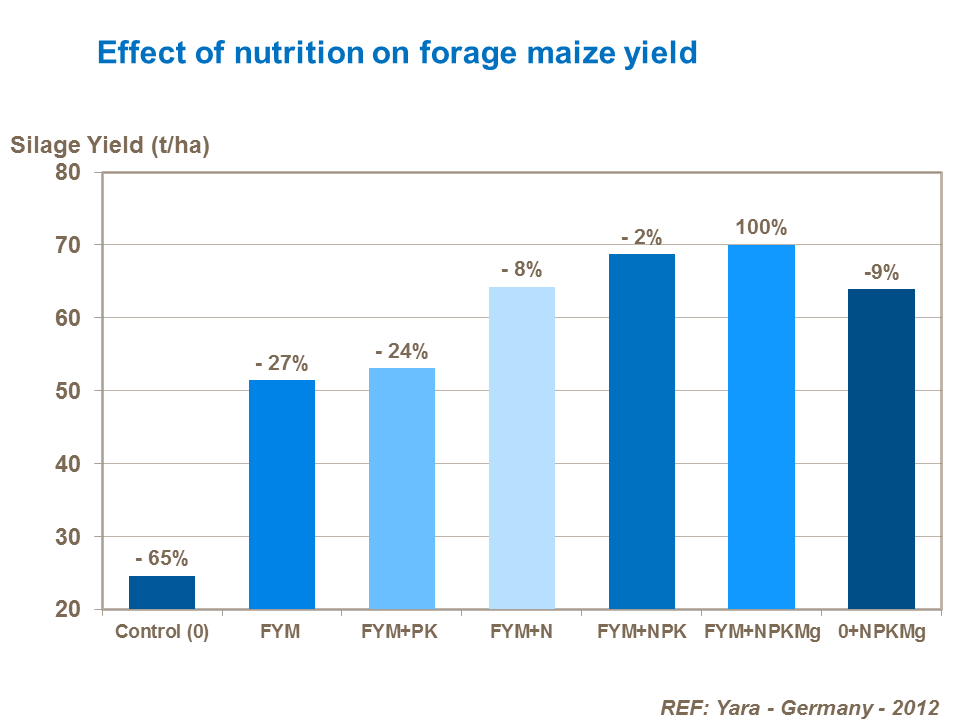 Effect of nutrition on forage maize yield