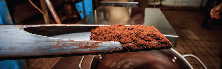 Cocoa Powder ready for bagging
