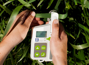 The Yara N-Sensor is a handheld tool that provides immediate information on actual nitrogen need.